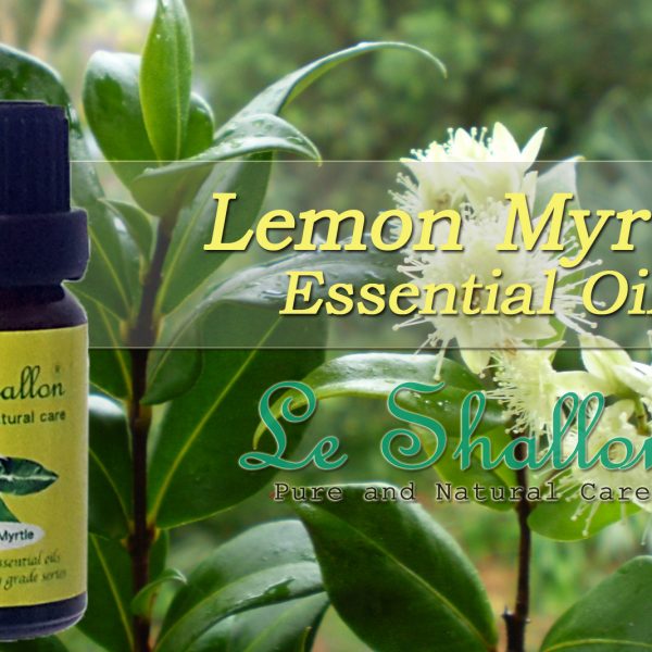 Lemon Myrtle Essential Oil