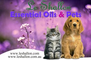 LE SHALLON ESSENTIAL OIL FOR PETS!