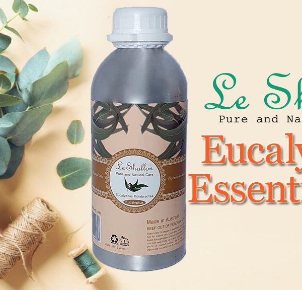Eucalyptus Blue Mallee Essential Oils